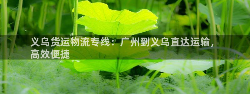 28圈官网版所有版本:义乌货运物流专