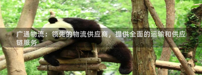 28圈链接：广通物流：领先的物流供应