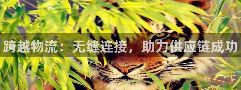 28圈是正规软件吗：跨越物流：无缝连