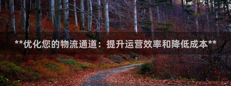 28圈官网版下载：**优化您的物流通