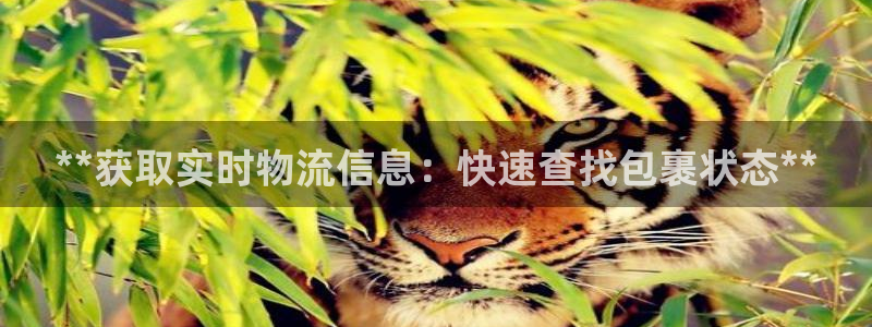 28圈注册条件：**获取实时物流信息