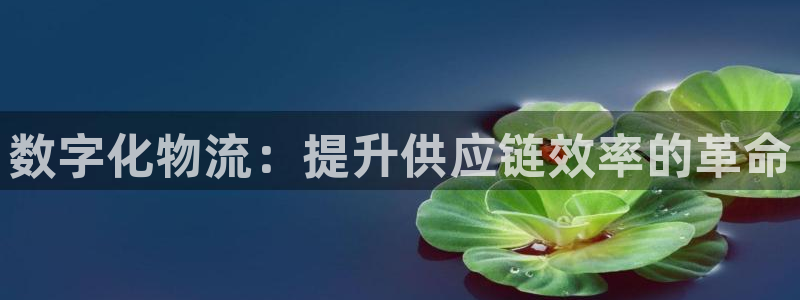 28圈注册入口与教程：数字化物流：提