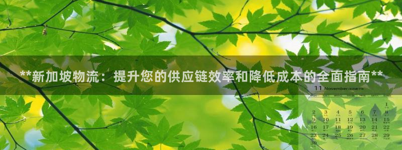 28圈官方网站预测：**新加坡物流：