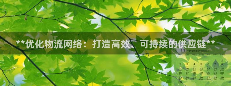 28圈充值金额随便：**优化物流网络