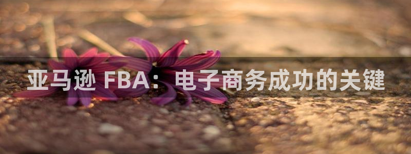 28圈为什么没有赢过一次：亚马逊 F