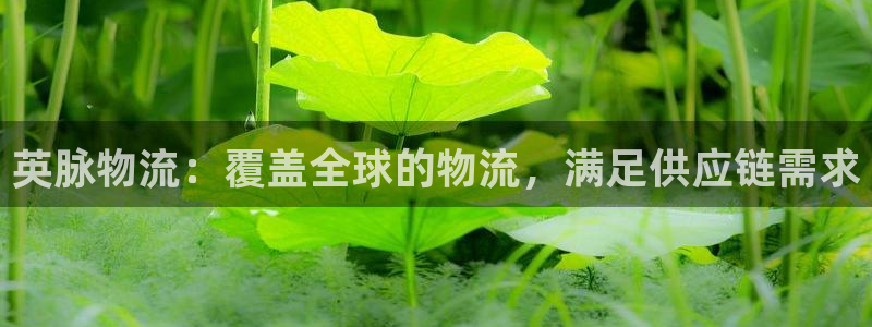 28圈加拿大6.0:英脉物流:覆盖全