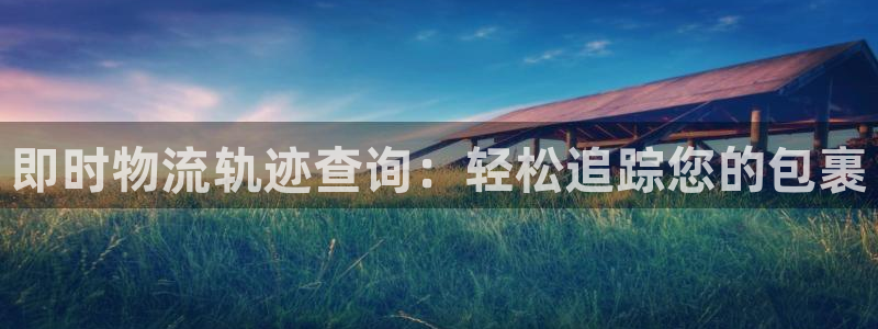 28圈分分压单双技巧:即时物流轨迹查