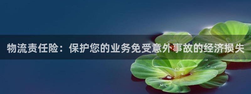 28圈加拿大技巧：物流责任险：保护您