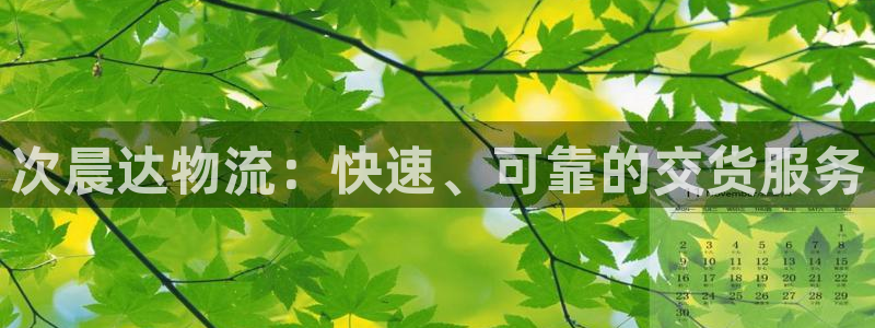 28圈预测：次晨达物流：快速、可靠的