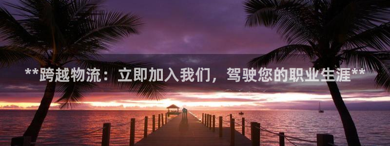 28圈p扣款什么意思:**跨越物流: