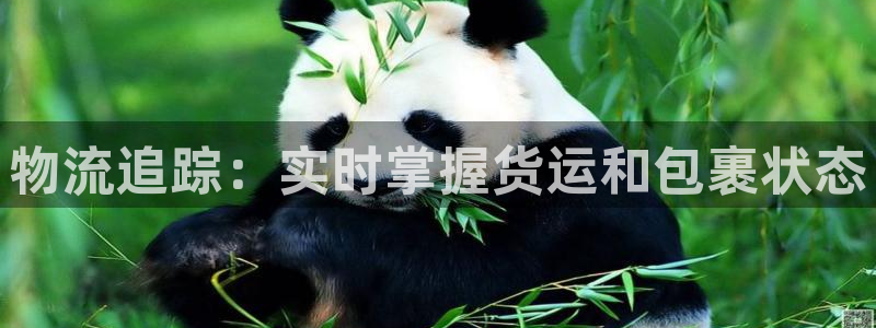 28圈选28ng官网:物流追踪:实时