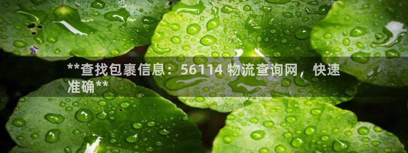 28圈网赌案件:**查找包裹信息:5
