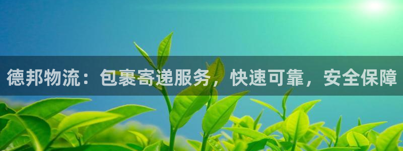 28圈怎么下载:德邦物流:包裹寄递服