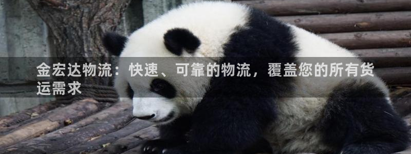 28圈是干嘛的：金宏达物流：快速、可