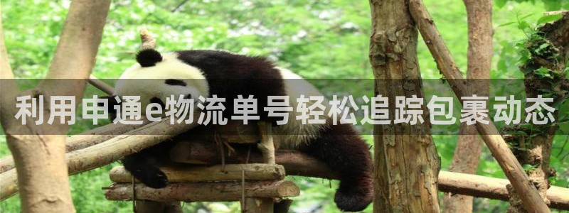 28圈注册网址:利用申通e物流单号轻