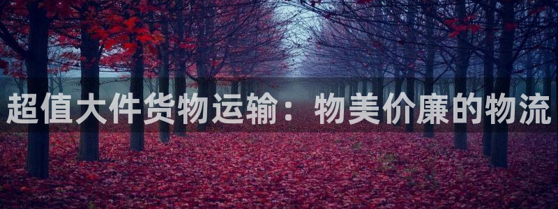 28圈是什么软件：超值大件货物运输：