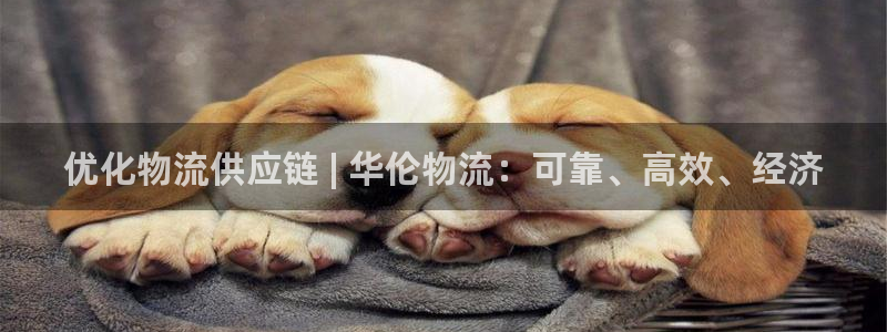 28圈官网开奖结果预测查询：优化物流