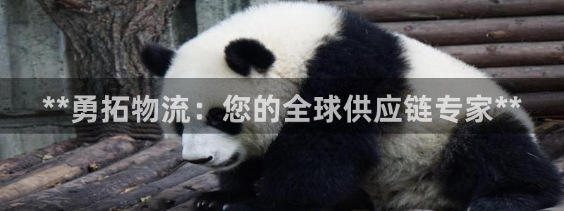 28圈注册网站谁有：**勇拓物流：您