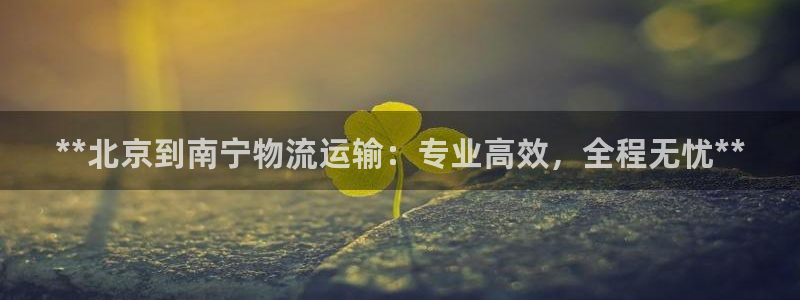 28圈加拿大28