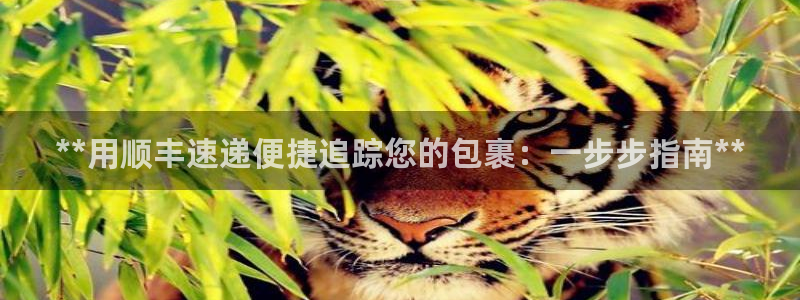 28圈官网开奖结果预测查询