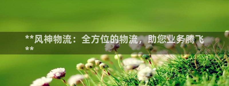 28圈注册网站谁有:**风神物流:全