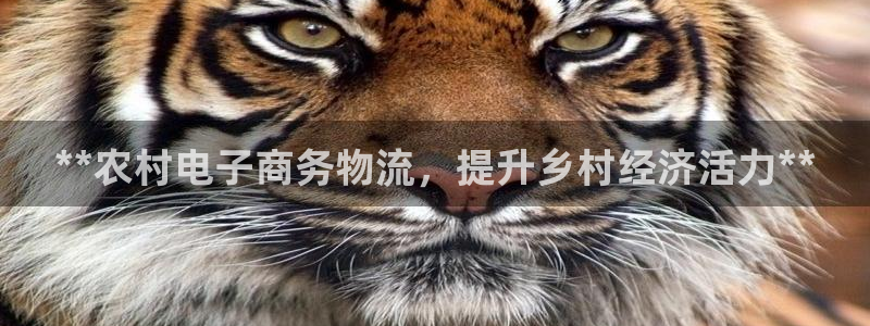 28圈注册用户名是什么：**农村电子
