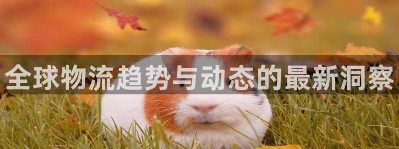 28圈黑平台吗：全球物流趋势与动态的