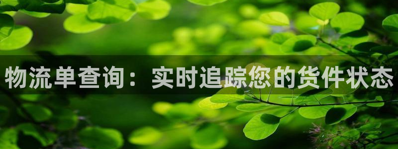 28圈注册二维码：物流单查询：实时追