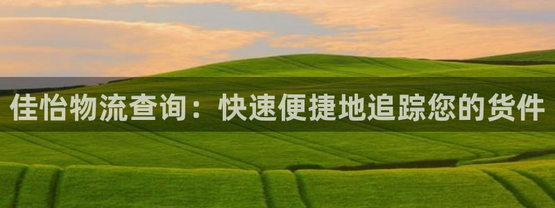 28圈注册流程:佳怡物流查询:快速便
