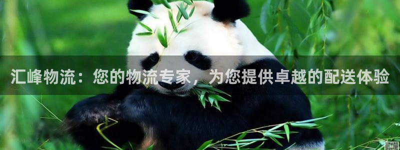 28圈登录流程：汇峰物流：您的物流专