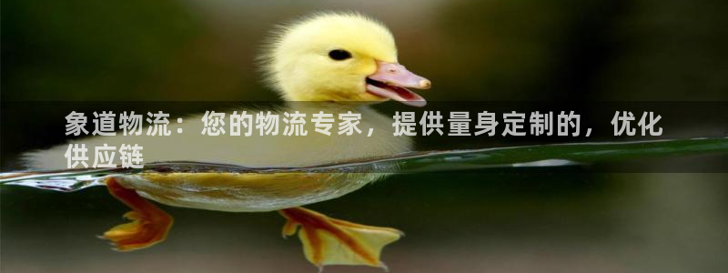 28圈如何退款：象道物流：您的物流专