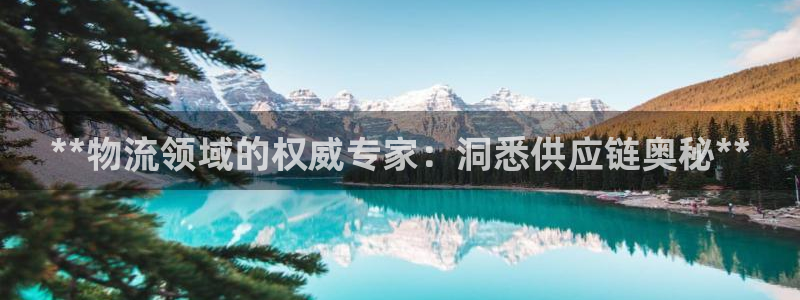 28圈注册网址：**物流领域的权威专