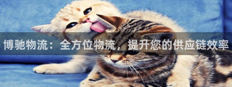 28圈人工客服电话是什么：博驰物流：