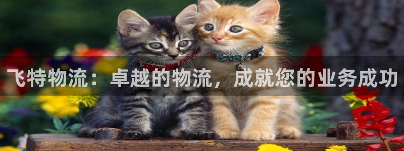 28圈反水怎么算