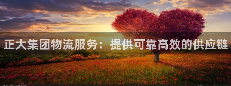 28圈取保