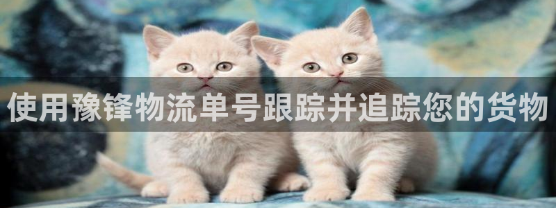 28圈怎么注册账号:使用豫锋物流单号