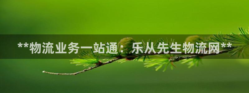 28圈预测