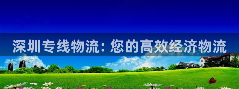 pc28圈怎么注册:深圳专线物流: