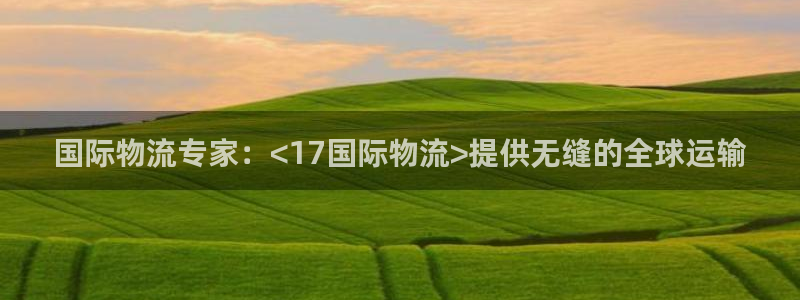 28圈黑款:国际物流专家:<17国际
