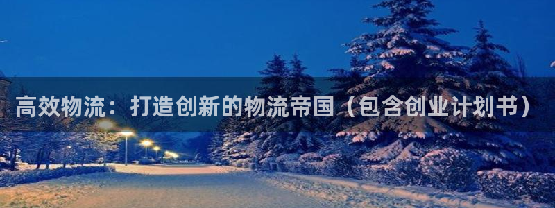 28圈正规吗?：高效物流：打造创新的