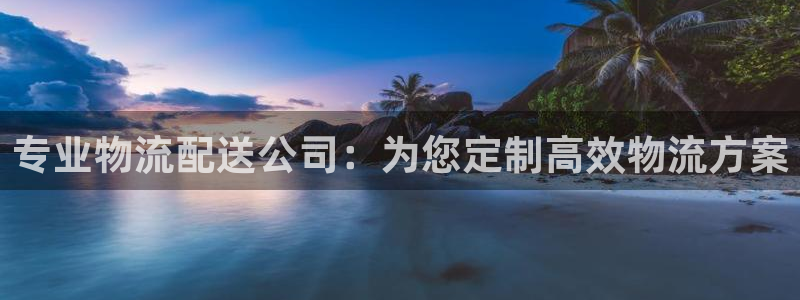 28圈充值不处理:专业物流配送公司: