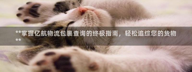 28圈怎么下载教程:**掌握亿航物流