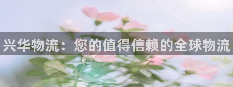 28圈初始资金密码在哪里改:兴华物流