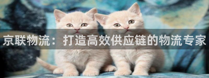 28圈推广链接是多少钱一个