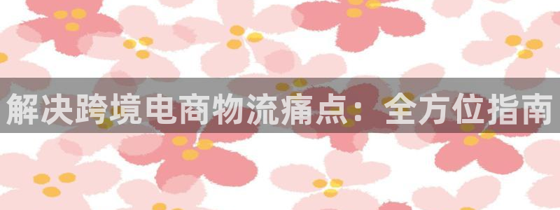 28圈吧：解决跨境电商物流痛点：全方