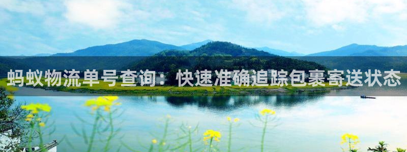 28圈旗下