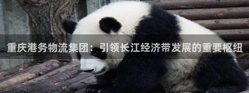 28圈aPP退款:重庆港务物流集团: