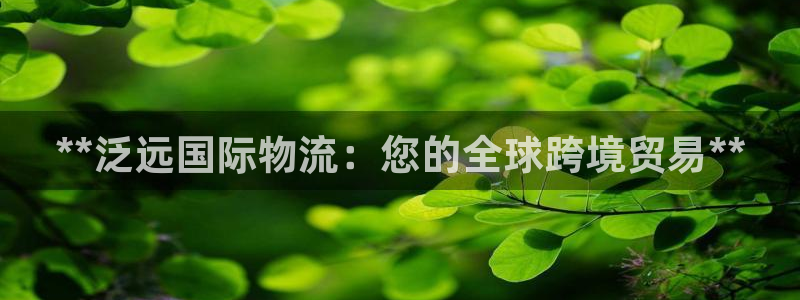 28圈加拿大是什么