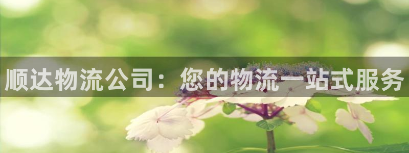 28圈反水