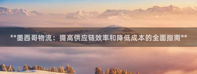 28圈登陆网：**墨西哥物流：提高供